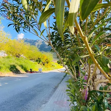 Apartahotel In Oludeniz